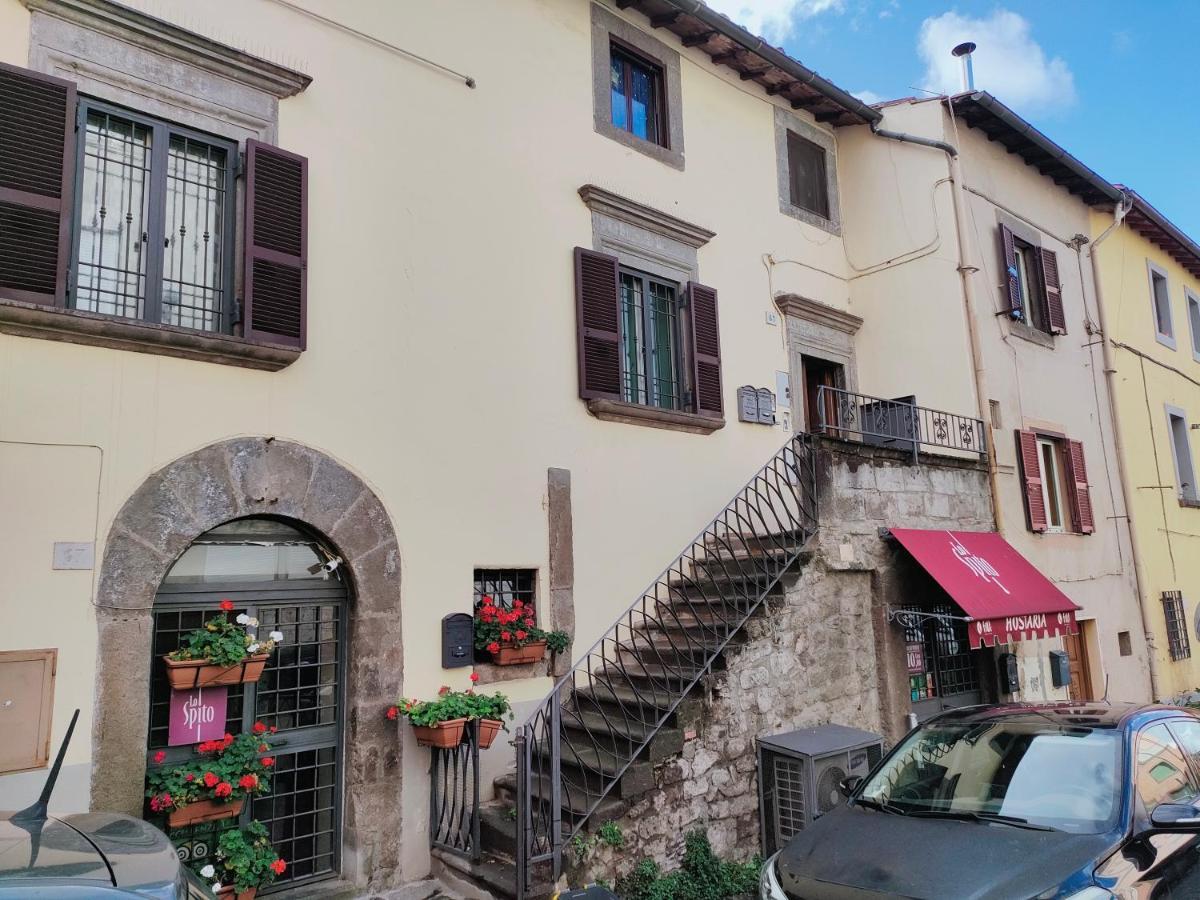 Francigena Viterbo Apartment Con Parcheggio Gratuito A Soli 2 Minuti 외부 사진