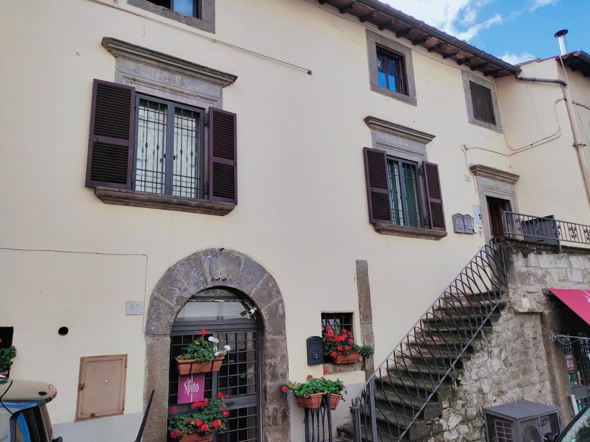 Francigena Viterbo Apartment Con Parcheggio Gratuito A Soli 2 Minuti 외부 사진